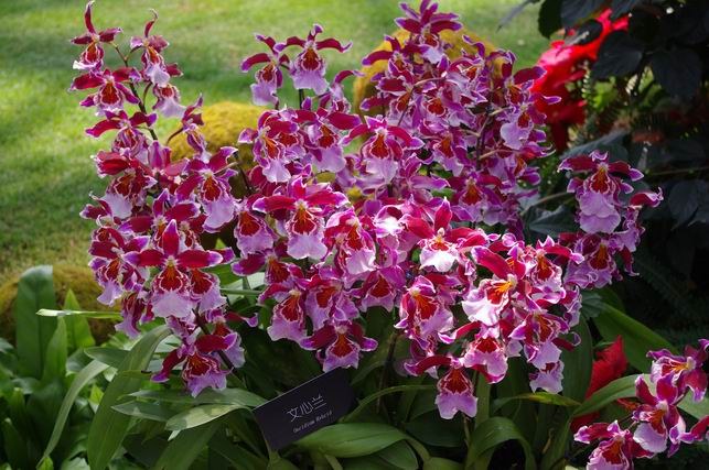 ������С IMGP1420.JPG