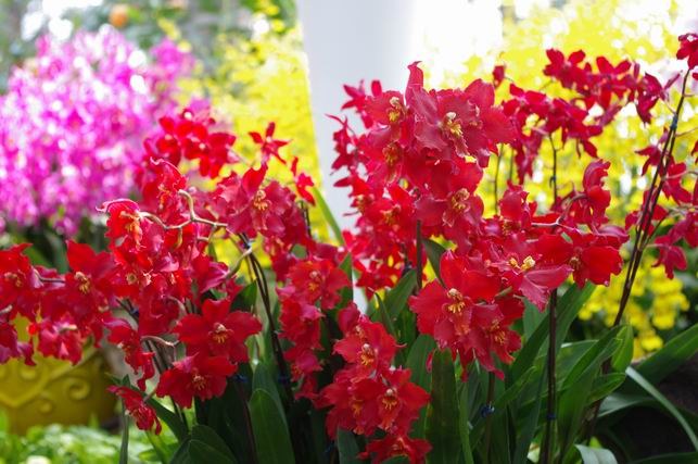 ������С IMGP1423.JPG