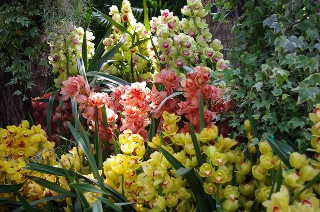 ������С IMGP1429.JPG