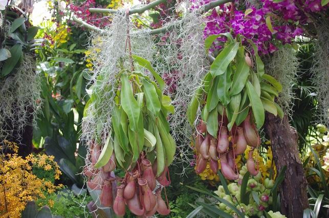 ������С IMGP1431.JPG