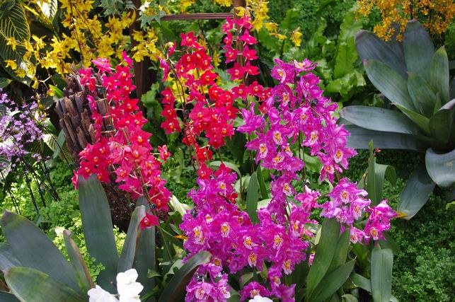 ������С IMGP1433.JPG