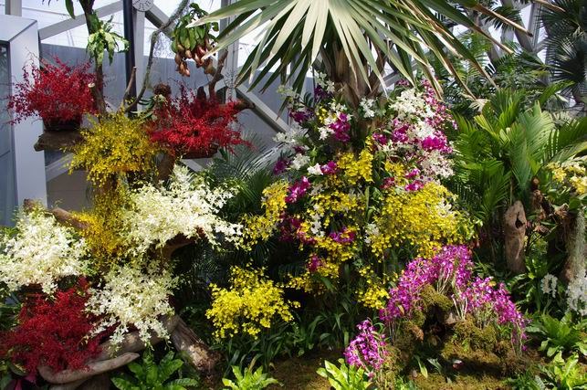 ������С IMGP1434.JPG