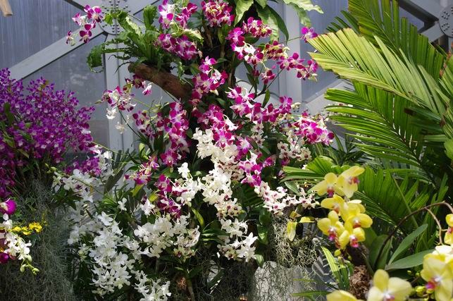 ������С IMGP1439.JPG