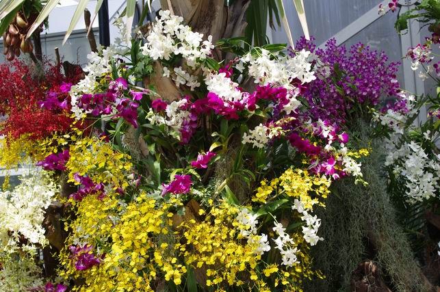 ������С IMGP1440.JPG