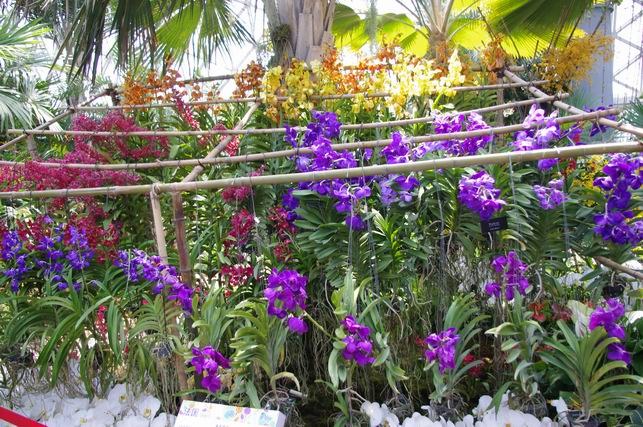 ������С IMGP1441.JPG