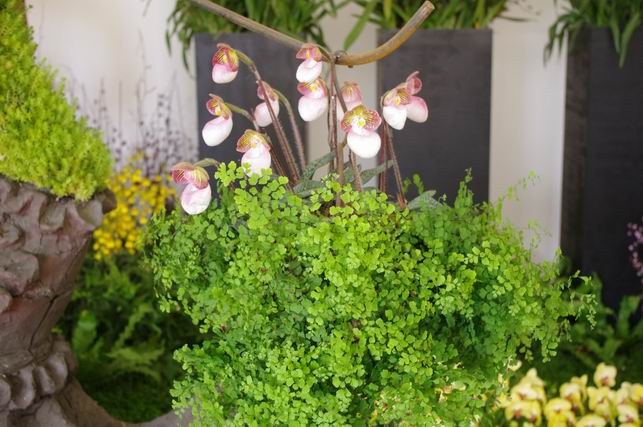 ������С IMGP1442.JPG