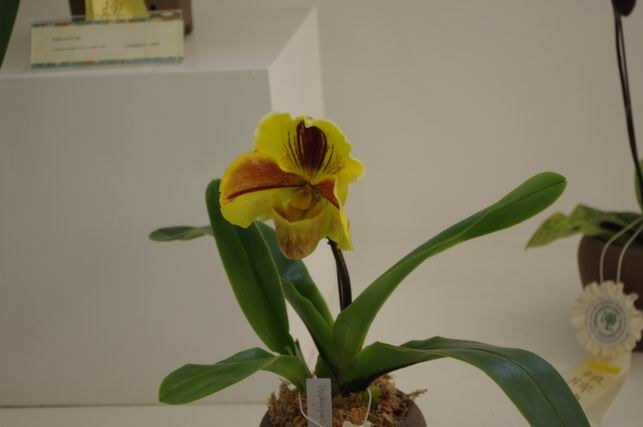 ������С IMGP1456.JPG