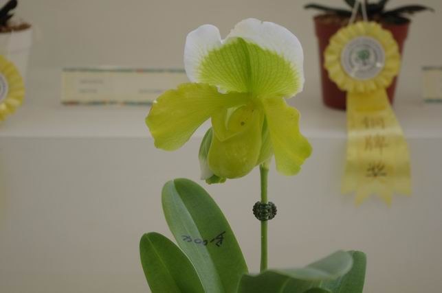 ������С IMGP1463.JPG