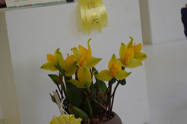 ������С IMGP1464.JPG