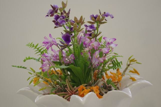 ������С IMGP1477.JPG