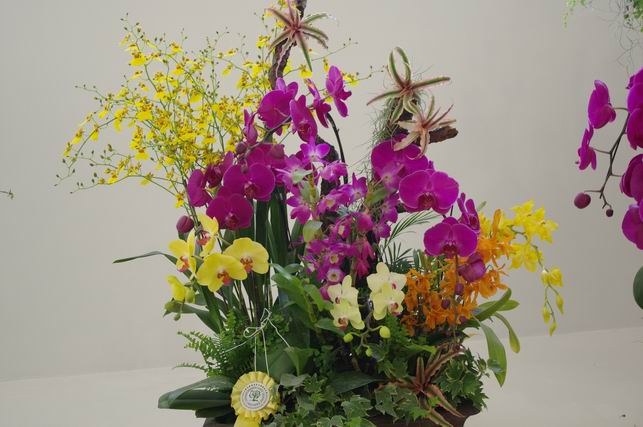 ������С IMGP1478.JPG