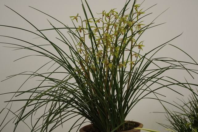 ������С IMGP1480.JPG