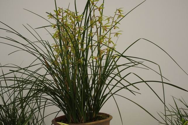 ������С IMGP1481.JPG