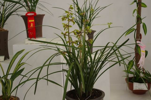 ������С IMGP1485.JPG