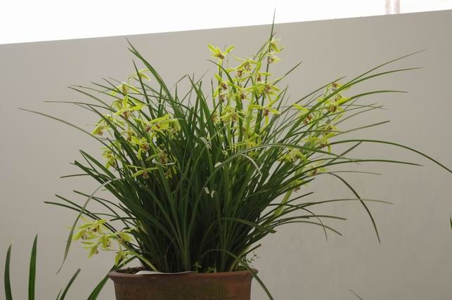 ������С IMGP1487.JPG