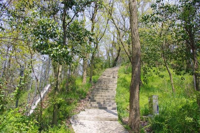 ������С IMGP1500.JPG