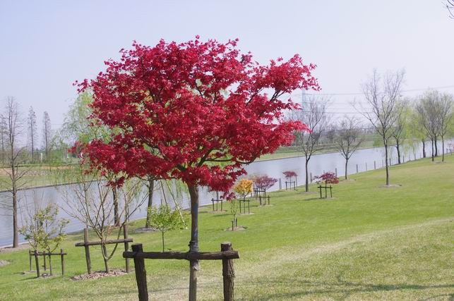 ������С IMGP1511.JPG