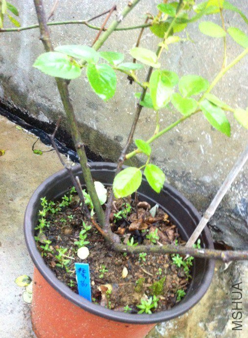 QQ��ͼ20130402191415.jpg