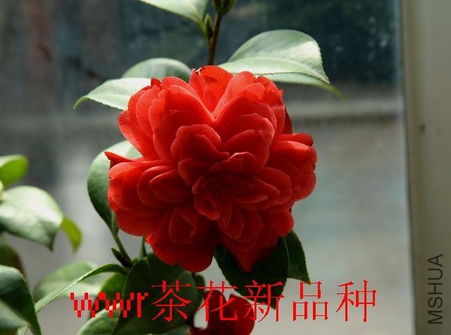 IMG_0689.JPG