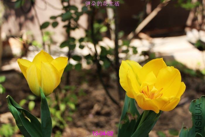 nEO_IMG_��Ƭ 090.jpg