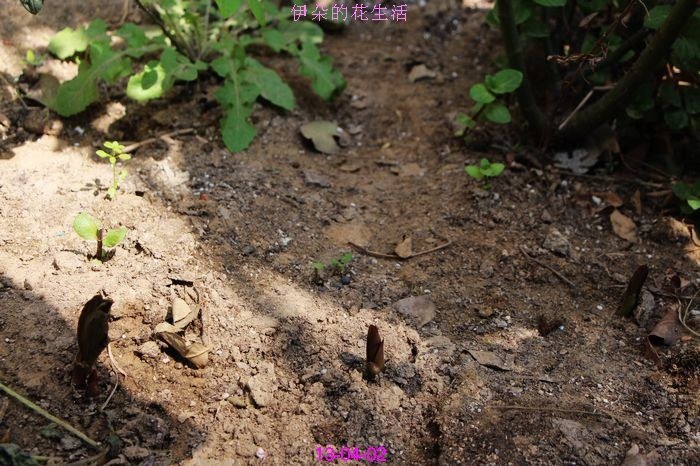 nEO_IMG_��Ƭ 091.jpg