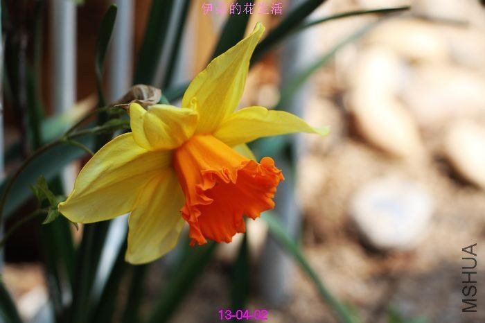 nEO_IMG_��Ƭ 093.jpg