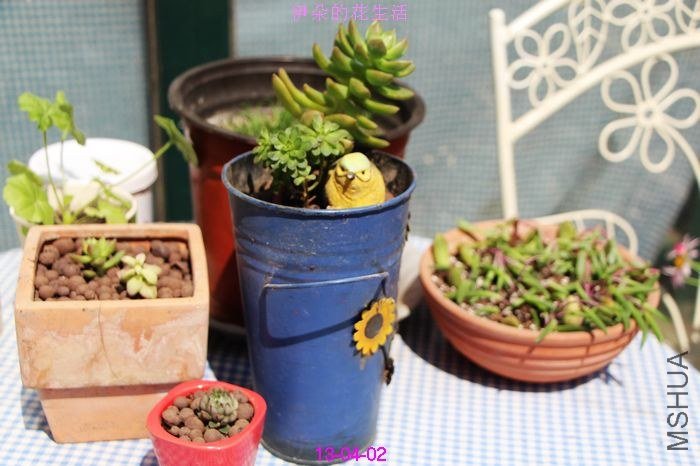 nEO_IMG_��Ƭ 094.jpg