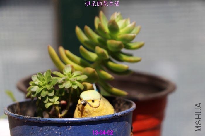 nEO_IMG_��Ƭ 095.jpg