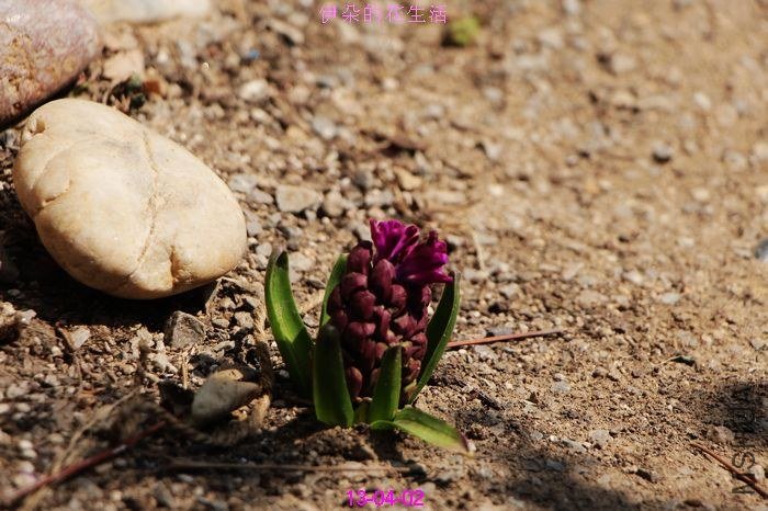 nEO_IMG_��Ƭ 092.jpg