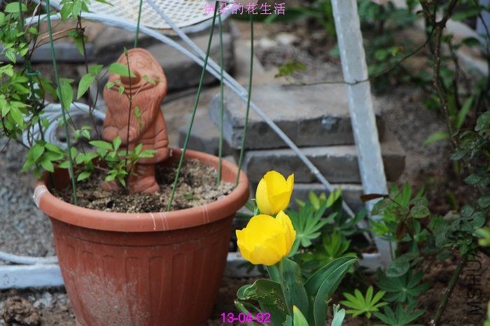 nEO_IMG_��Ƭ 098.jpg