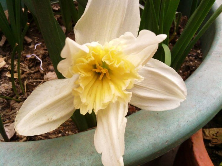 IMG_20130330_084138 - ����.jpg