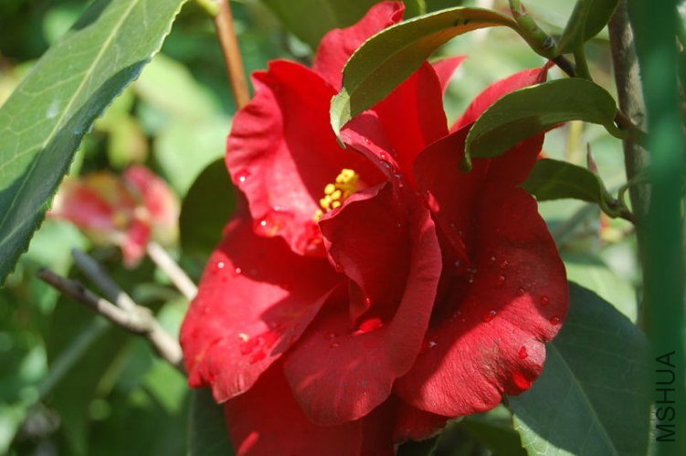 DSC_00210021.JPG