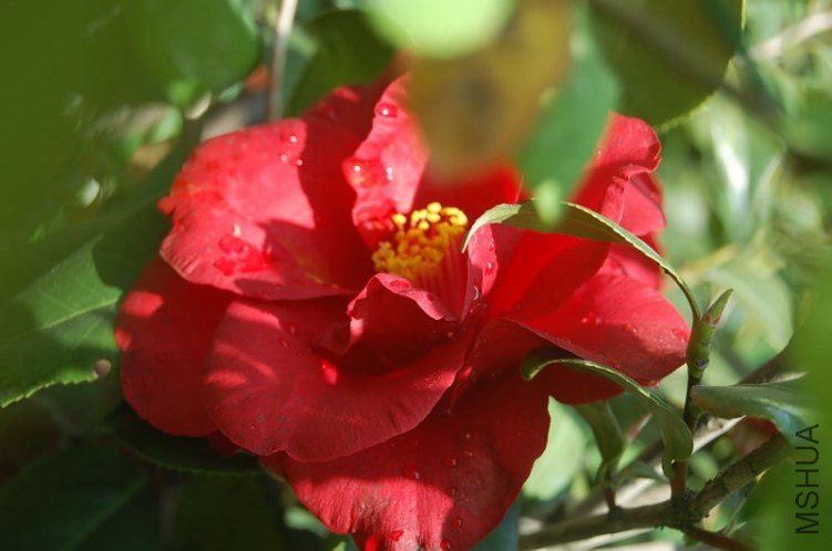 DSC_00190019.JPG