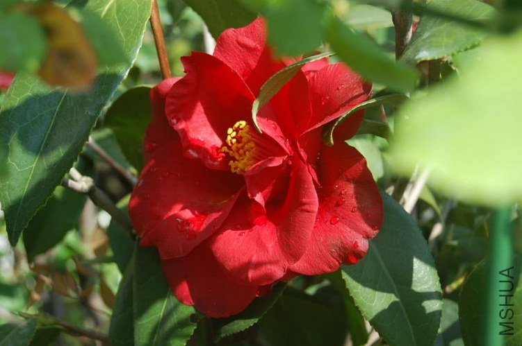 DSC_00170017.JPG