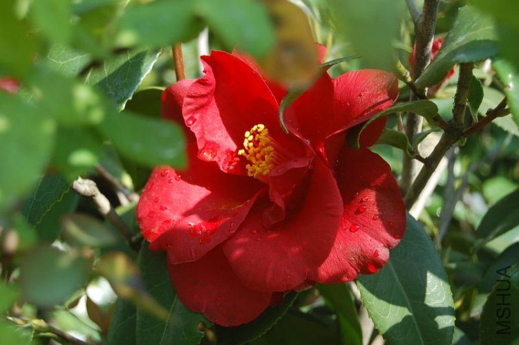 DSC_00150015.JPG