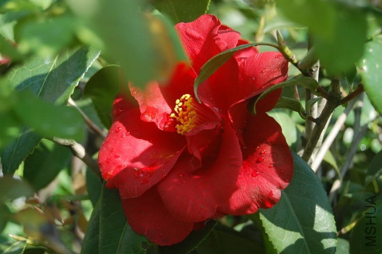 DSC_00140014.JPG