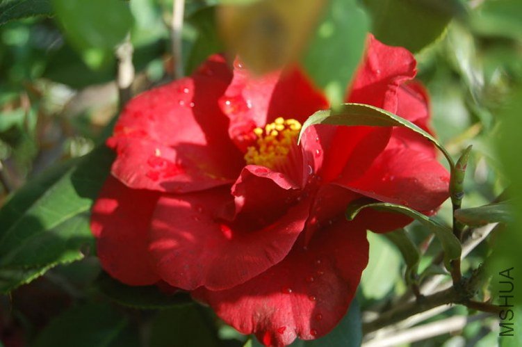 DSC_00180018.JPG