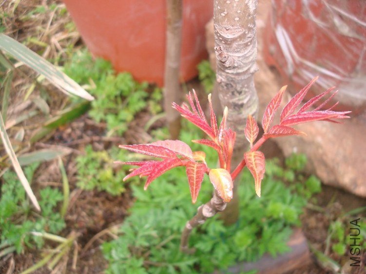 DSC05011.JPG