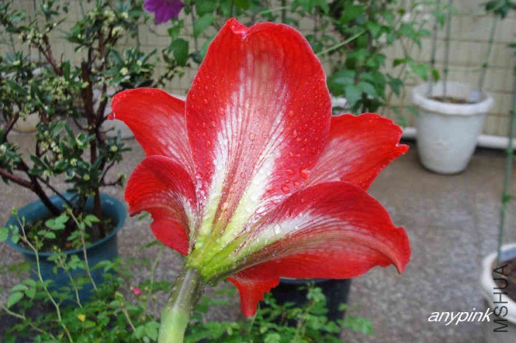 nEO_IMG_DSC01034.jpg