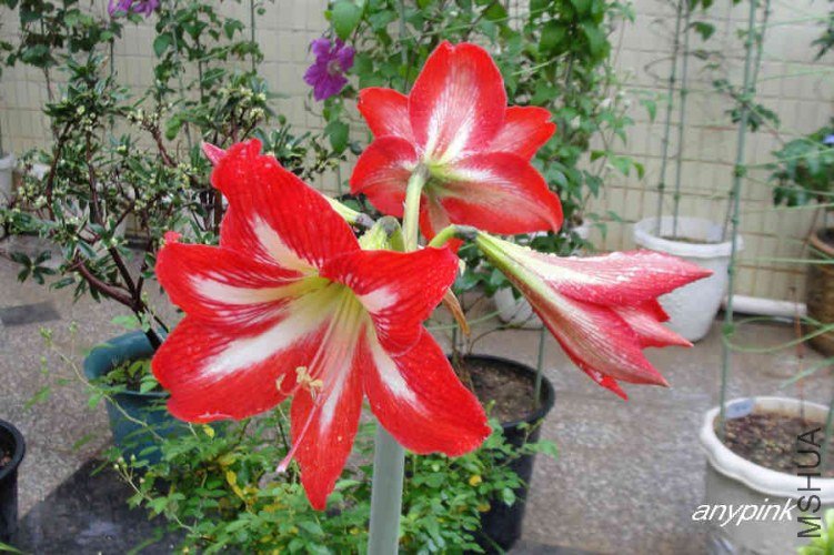 nEO_IMG_DSC01026.jpg