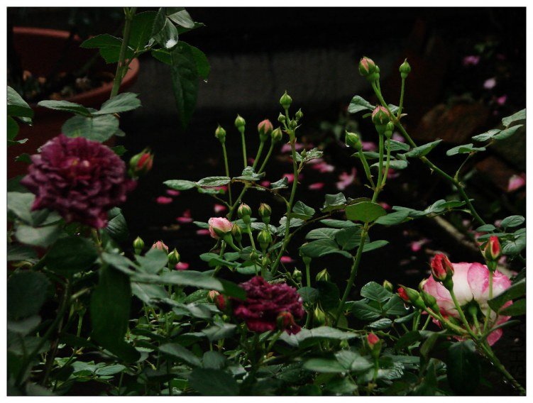 ����֮��