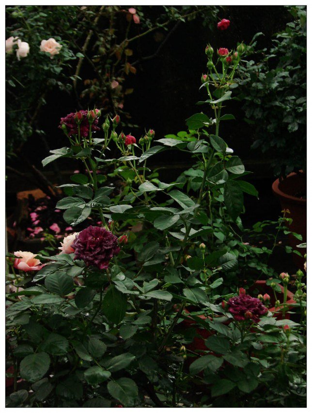 ����֮��