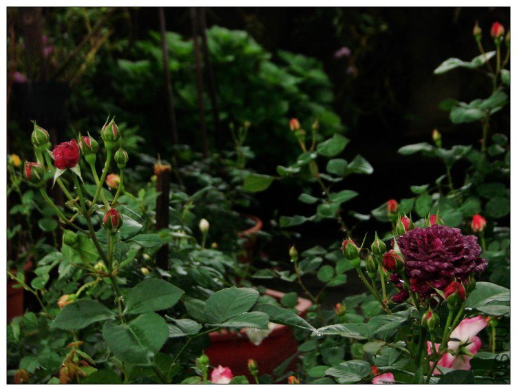 ����֮��