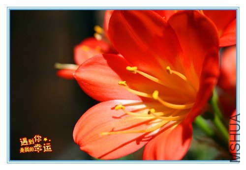 ��Ƭ 010_����.jpg