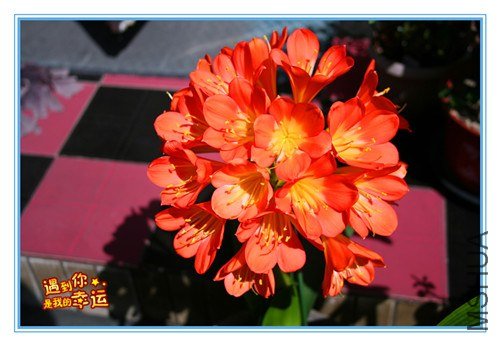 ��Ƭ 003_����.jpg