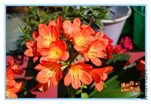 ��Ƭ 004_����.jpg