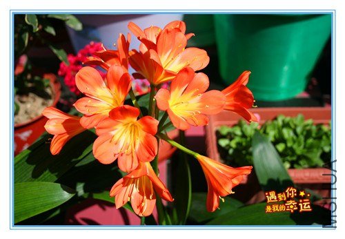 ��Ƭ 005_����.jpg