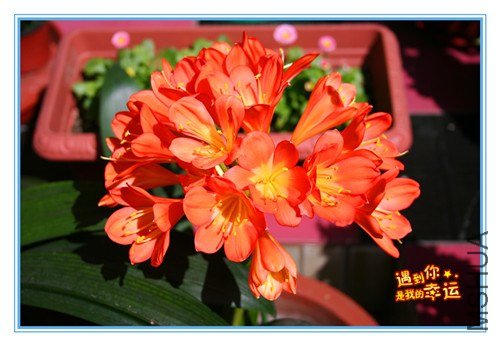 ��Ƭ 007_����.jpg