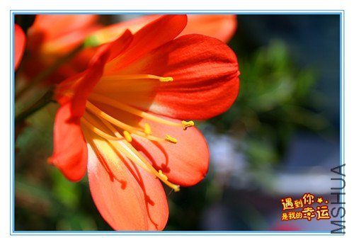 ��Ƭ 009_����.jpg