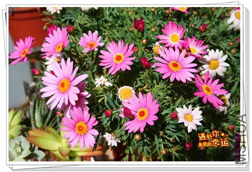 ��Ƭ 035_����.jpg